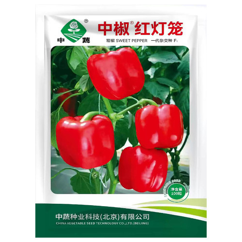 Red Lantern Sweet Pepper Seeds