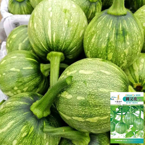 Yichuanling Pumpkin Seeds