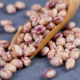 Sparrow Egg Cranberry Bean Seeds