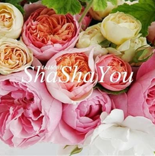 Rare Ranunculus Asiaticus Seed