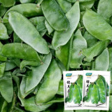 Hyacinth Bean Seeds (Pig-ear-shaped)