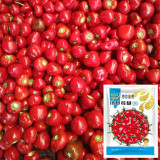 Strawberry-shaped Hot Pepper Seeds