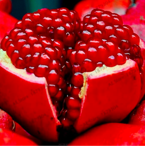 Pomegranate Flores,Sweet Pomegranate Seed Plant Fruit for Home and Garden Planting