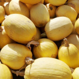 Paizha No.1 Spaghetti Squash Seeds