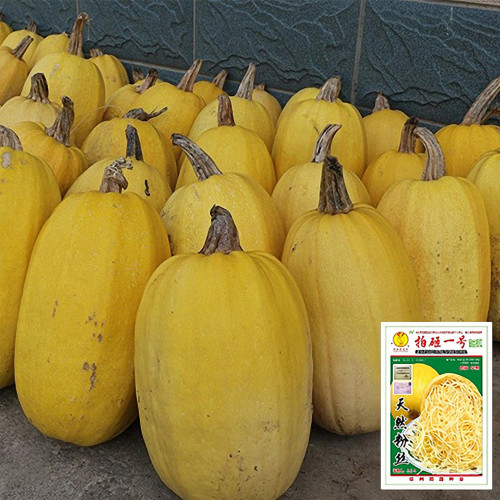 Paizha No.1 Spaghetti Squash Seeds