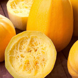 Paizha No.1 Spaghetti Squash Seeds