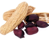 Arachis Hypogaea Seed Chinese Peanut Plant Seed