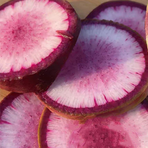 Ice Cream Radish Seeds