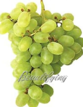 Grapes Seed Mini Grape Tree Seed Fruit
