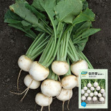 White Cherry Radish Seeds