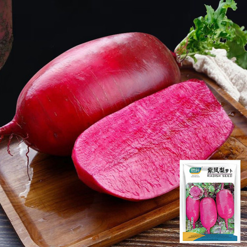 Purple Pineapple-shaped Radish Seeds