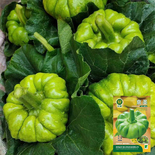 Jiangbing Pumpkin Seeds