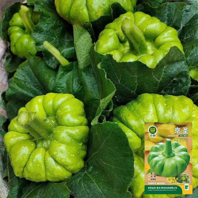 Jiangbing Pumpkin Seeds
