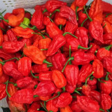 Ghost Pepper Seeds