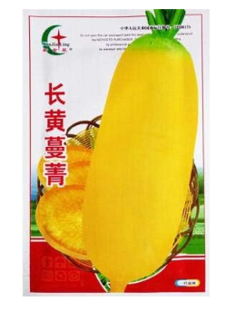 Rare Yellow Rutabaga Vegetable Swedish Turnip Brassica Napobrassica Home Garden