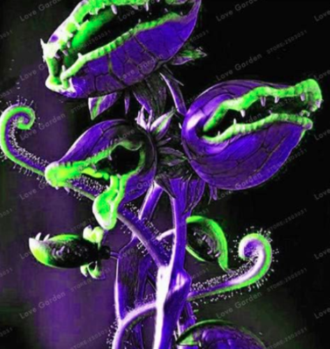 Venus Fly Trap Carnivorous Plant Seed Dionaea Muscipula (Color: 4)