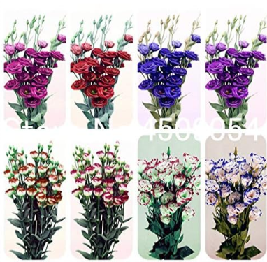 Eustoma Bonsai seedsplants Perennial Flowering Plants Balcony Potted Flowers