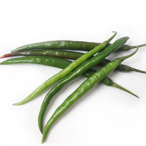 Xiangla No.6 Chili Pepper Seeds