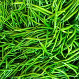 Xiangla No.6 Chili Pepper Seeds