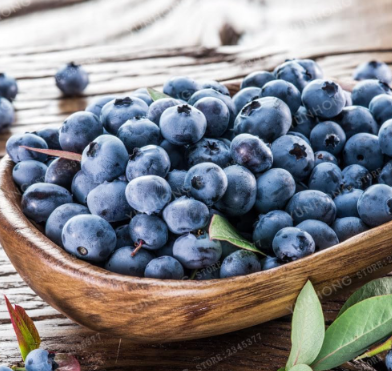 American Giant Blueberry Fruit Seed