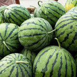 Snow Pear White Watermelon Seeds