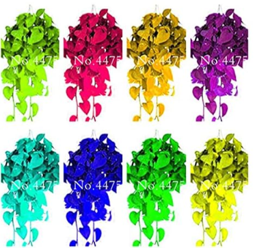 Epipremnum Aureum Seed Office Desk Seed Aquatic Plants Purify Air Absorb Harmful Gases (Color: Mix)