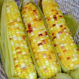 Colorful Glutinous Corn Seeds
