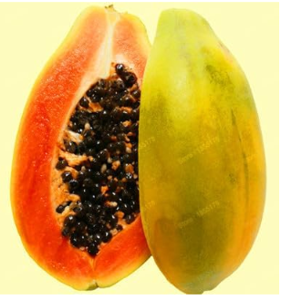 Chinese Fresh Organic Pawpaw Plant Fruit Tree Seeds