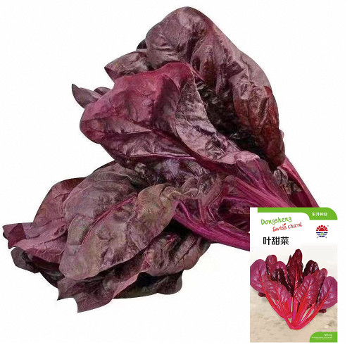 Red-Leaf Chard Seeds