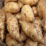 Sweet Potato Vegetable Seeds (Color: 16)