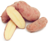 Potato Seed Organic Vegetables Sweet Healthy Kitchen Cooking Food NO GMO - (Color: 4)