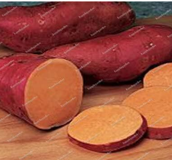 Sweet Potato Vegetable Seeds (Color: 9)
