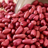 Four-Kernel Red Peanut Seeds - Fast-Growing, Disease-Resistant, High Germination Rate