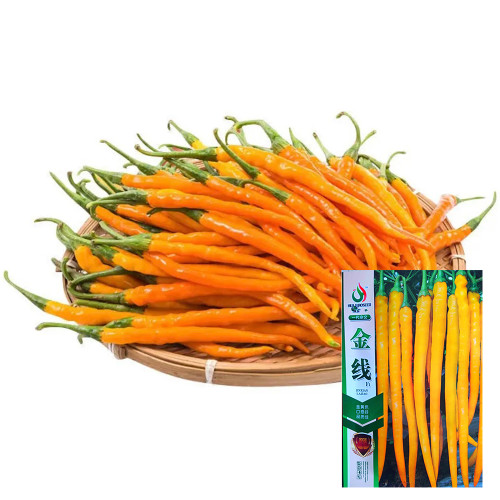 Huangdi Linear Chili Pepper Seeds