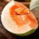 Shuaiguo No.9 Netted Melon Seeds