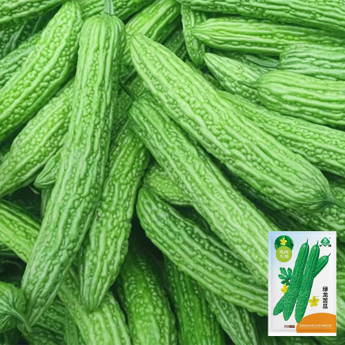 Green Dragon Bitter Melon Seeds