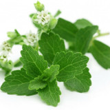 Stevia rebaudiana Seeds | Non-GMO Natural Sweet Herb | Sugar Substitute Plant | Organic Sweetleaf Seeds for Home Garden, Pot, Balcony, Backyard Growing