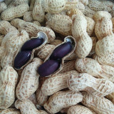 Black Peanut Seeds