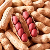 Four-grain Red Peanut Seeds