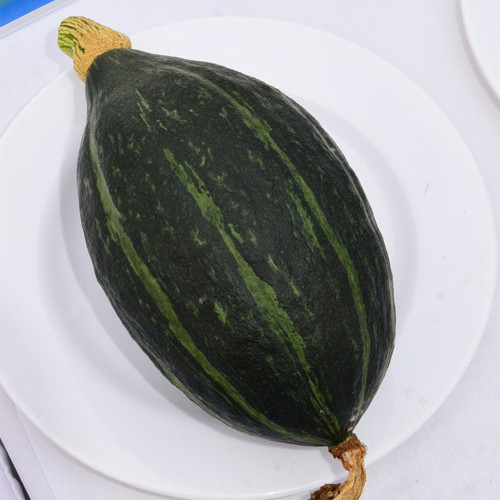 Jingyan Olive-shaped Pumpkin Seeds