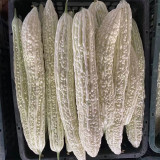 White Jade Bitter Gourd Seeds