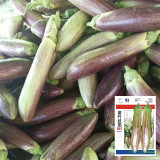 Yu Bamboo-Silk Eggplant No.881 Seeds