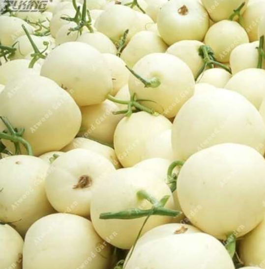 Green Skin Green Inside Crisp Fragrant 22% Sugar contained