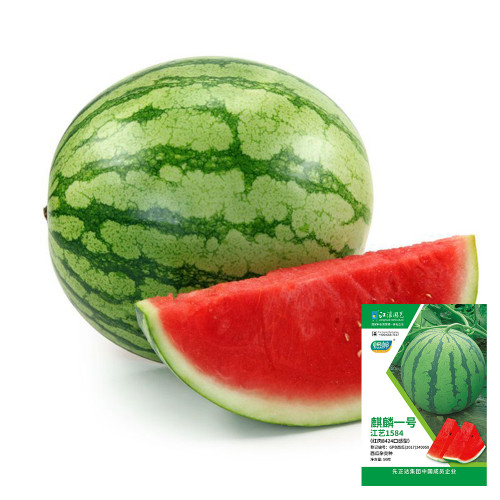 Qilin No.1 Watermelon Seeds, 8424 Watermelon, Juicy and Tender Flesh, Excellent Flavor Profile, High-quality Watermelon