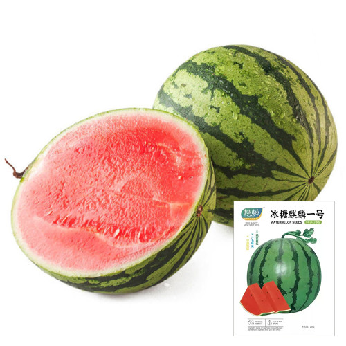 Rock Sugar Kirin No.1 Watermelon Seeds, Qilin No.1 Watermelon Seeds, Pink Flesh, High-Quality, Early-Harvest Watermelon 
