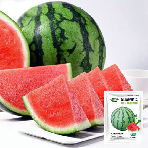 Rock Sugar Kirin No.2 Watermelon Seeds, Qilin No.2 Watermelon, Juicy Red Flesh, Thin-Skinned, High-Yield, Superior Flavor