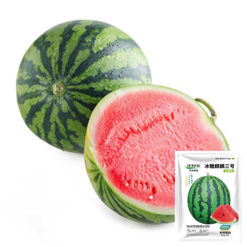 Rock Sugar Kirin No.3 Watermelon Seeds, Kirin No.3 Watermelon, Medium-early Maturing, High-round Fruits, Sweet & Crisp Flesh