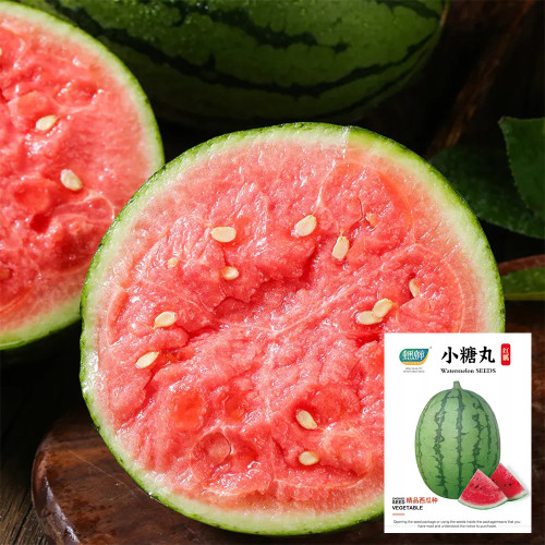 Sugar Globe Petite Watermelon Seeds, Gift Watermelon Seeds, Small Watermelon Seeds, Crisp Red-Flesh, Thin-Rind