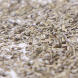 Blue Swan River Daisy Seeds – Vibrant Blue Brachyscome for Borders, Pots & Pollinator Gardens