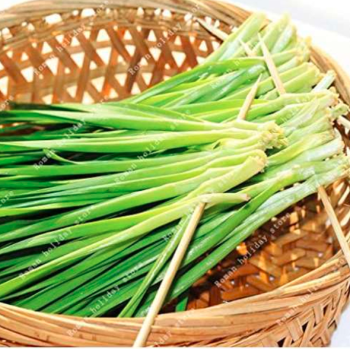 Leek Garlic Chives Vegetable Seed Plants for Home Garden Non GMO Organic Vegetable